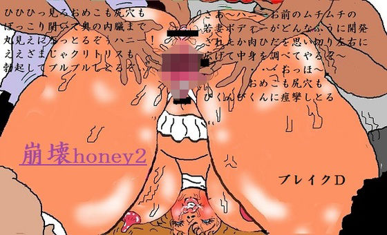 崩壊honey2