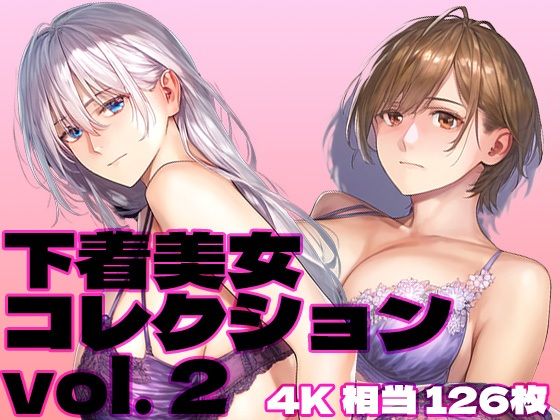 下着美女コレクション vol. 2