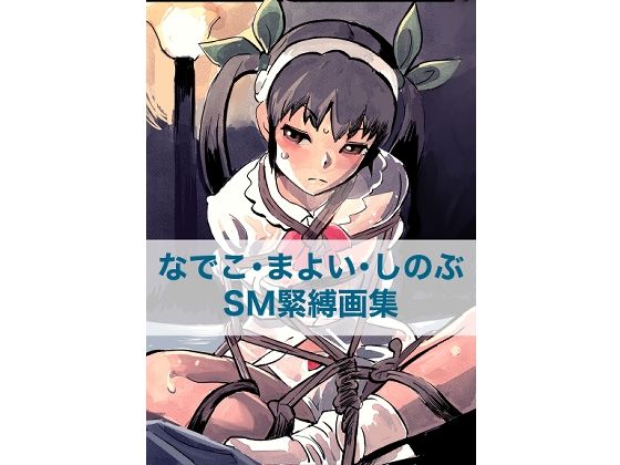 なでこ・まよい・しのぶ SM緊縛画集